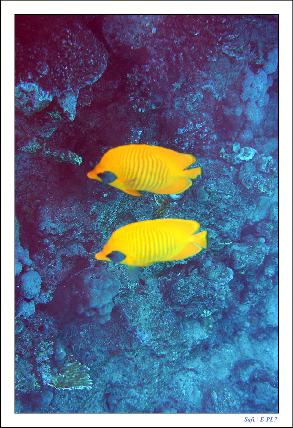 2023 - 03 - Charm El Sheikh - 46